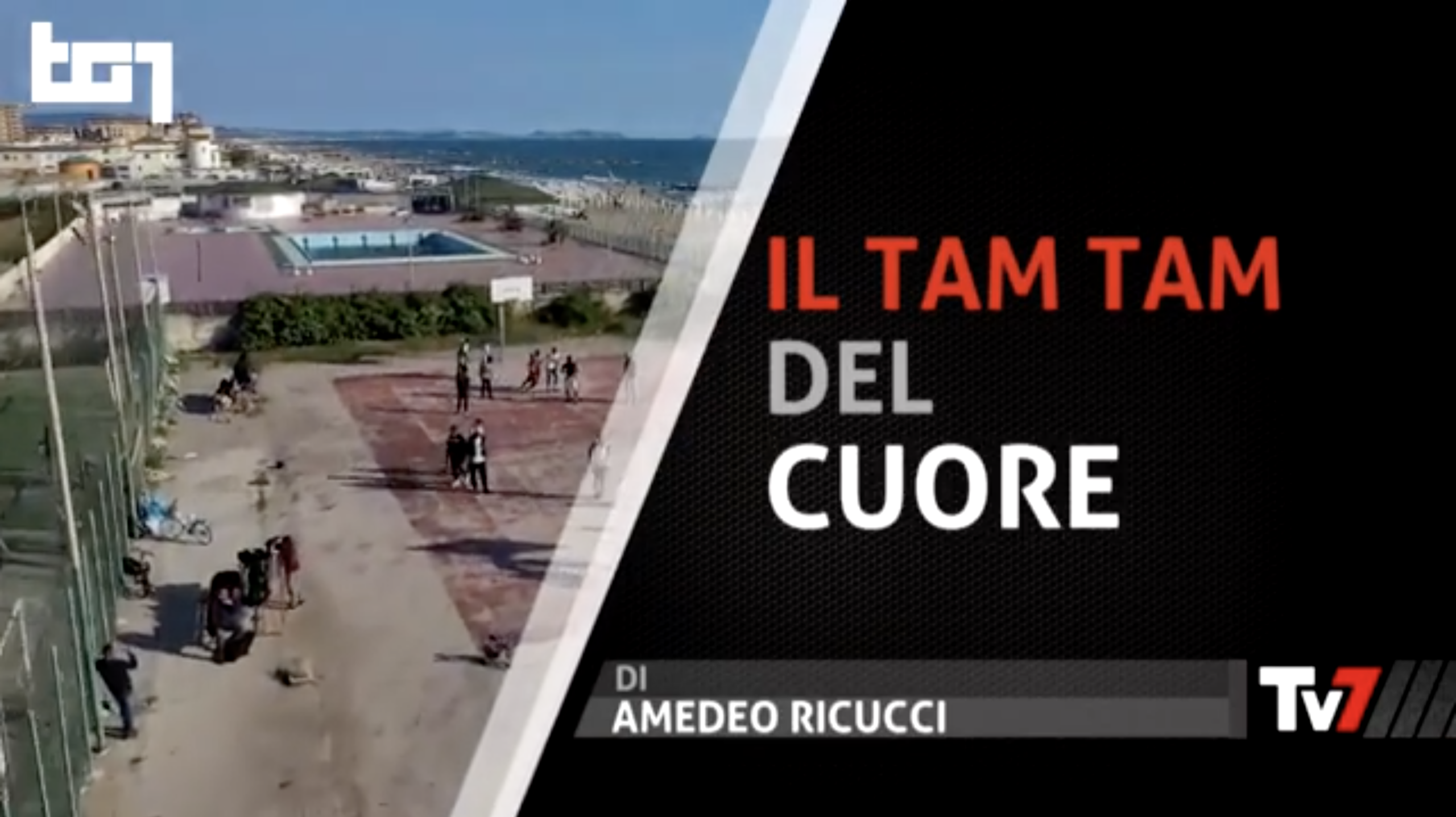 tam tam basketball